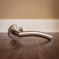En gros Camber forme poignée de porte en acier inoxydable moderne poignée de porte, poignée de porte fabricant
