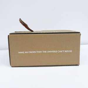 Caja de Cartón Corrugado Autosellable con Logotipo Personalizado y Cierre Zipper para Envío de Cosméticos y Cuidado de la Piel con Relieve - Product Image 5