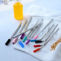 Paille à boire réutilisable en acier inoxydable coloré, droite et incurvée, avec embouts en silicone, matériau métallique durable