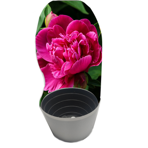 Couvercle de <span class=keywords><strong>pot</strong></span> d'emballage de pivoines en polypropylène étanche anti-décoloration personnalisé pour l'emballage de fleurs de plantes de ferme - Product Image 3