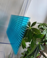 10 ans de garantie bas prix 8mm anti-UV enduit lumière du soleil panneau de toit en polycarbonate double feuille de mur