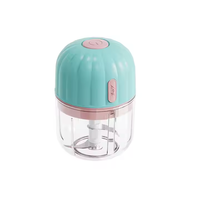 Portable Rechargeable Mini Chopper USB Robot Culinaire Électrique Trancheuse À Ail Gadgets De Cuisine Ménagers Et Extérieurs