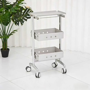Modern Stainless Steel Salon Storage Cart with Double-Sided <b>Tool</b> Cabinet 4-Wheel High-End Hair Bar Cart for Hotel Beauty Salons - Product Image 3