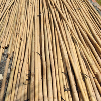Poteaux de Soutien Écologiques en Mini Bambou pour Tomates et Plantes de Piments Longueur Personnalisable Fabricant Vietnamien