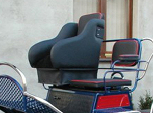 Chariot à Chevaux à 4 Roues de Haute Qualité et à Prix Abordable / Sulky Facile à Utiliser pour Transport Spécialisé - Product Image 5