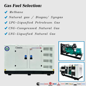 20KW 30KW 50KW 100KW 150KW 200KW 300KW 400KW 500KW Gas naturale Biogas CNG metano generatore CHP Biogas purificazione - Product Image 2