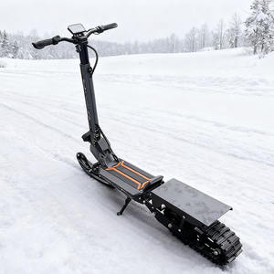 <span class=keywords><strong>3</strong></span> <span class=keywords><strong>1</strong></span> इलेक्ट्रिक स्नो स्कूटर वयस्कों के लिए उच्च गुणवत्ता 800 डब्ल्यू 11 इंच पहियों के लिए इलेक्ट्रॉनिक स्मार्ट प्रकार - Product Image 4
