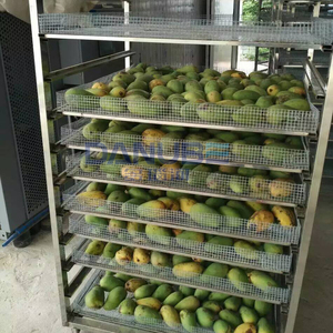 Línea de Producción Completa para Limpieza, Rebanado y Secado de Mango y Papaya, Cuarto de Secado de Mango, Máquina Secadora de Papaya - Product Image 3
