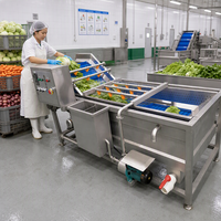 Industriële groente- en fruitwasmachine met bubbels, 500-600 kg/uur, roestvrij staal, voor aardappel, wortel, gember, fabriek