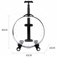 Capsule transparente de luxe personnalisée chariot de voyage pour animaux de compagnie nouvelles poussettes pour chiots chiens chats confortables transporteurs sac chariot à roulettes