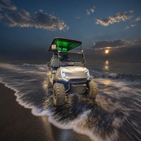 Voiturette de golf électrique pour l'Oktoberfest, 2, 4 ou 6 places, moteur AC 72V 7.5KW, batterie au lithium, pour le transport de fournitures vers les stands de bière et les seaux à piquets de tente