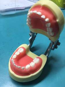 معيار ممارسة طب الأطفال نموذج الأسنان typodont الطفل نموذج لشكل الأسنان - Product Image 5