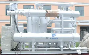 New LIROON Explosionproof Hydrogen Gas Waste Heat Regeneration Adsorption Desiccant Dryer Standard Type