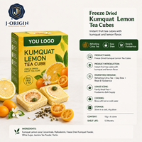 Gefreeze-droogde Kumquat Citroen Thee Kubus Instant Fruitthee Drank OEM Private Label Leverancier China Voedingsmiddelenkwaliteit 12 Maanden Houdbaarheid