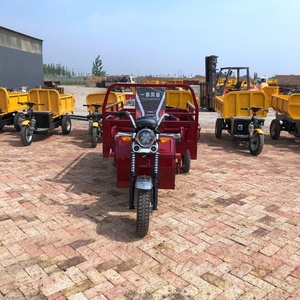 Bicitaxi Eléctrico Motorizado de 3 Ruedas, 1000W, Batería de 60V, Carrocería Abierta, Certificado EEC, 500kg de Peso en Vacío, 400kg de Carga Útil - Product Image 5