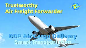 Agente de Envío Global Profesional, Logística DDP, Transporte Aéreo de Mercancías desde Shenzhen Puerta a Puerta a Canoas, Novo Hamburgo, León - Product Image 4