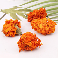 Kelopak Bunga Calendula Officinalis Kering Alami, Bunga Marigold Oranye