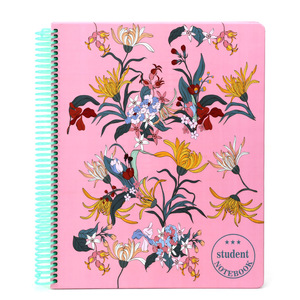 Prezzo di fabbrica carta di cartone stampa di plastica rilegatura a spirale diario Agenda personalizzare quaderni a spirale per il regalo - Product Image 2