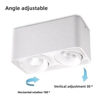 Spot à LED monté en surface pour le salon Lumière de la boîte de couloir Anti-éblouissement Double Head Bold Light Single Head No Main