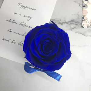 Junio Scatola Regalo di Alta Qualità con Rosa Stabilizzata di Grado A, Confezione Singola per Decorazione - Product Image 5