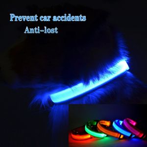 Honden Product <span class=keywords><strong>Usb</strong></span> Opladen Kraag Nylon Flits Lichtgevende Nacht Veiligheid Huisdier Ketting Reflecterende Gloed In Donker Licht Led Hond Halsband - Product Image 3