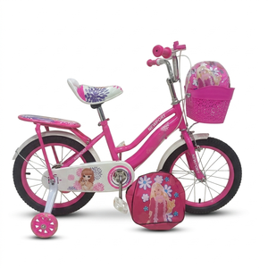 Nuevo Diseño Bicicleta para Niñas de 16 Pulgadas con <span class=keywords><strong>Casco</strong></span>, Bolsa, Llanta de Acero de Una Velocidad, Ruedas de Entrenamiento, Sillín Cómodo, Abrazadera Delantera y Trasera - Product Image 1