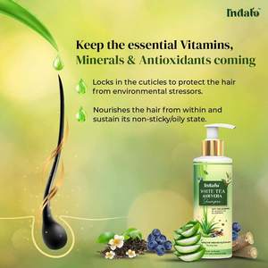 Champú Vegano Indalo con Aloe Vera y Té Blanco para Cabello Graso con Control de Grasa y Protección Contra la Caspa, Champú y Acondicionador OEM - Product Image 3