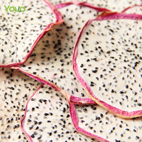 Hot Selling Pure Natuurlijke Gedroogde Witte Dragon Fruit Nul Additief Droge Witte Pitaya Plakjes Eetbaar Gedroogd Fruit Voor Thee Drinken