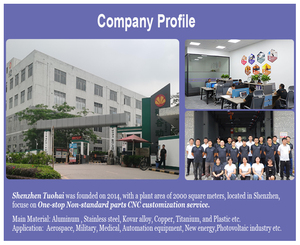 قطع تيتانيوم مخصصة حسب الطلب - تصنيع بالتحكم الرقمي بالحاسوب وقطع بالأسلاك عالية الدقة لتصنيع الفولاذ المقاوم للصدأ والألومنيوم - Product Image 5