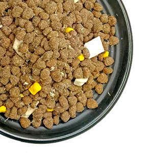 Usine professionnelle spécialisée dans la recherche de nourriture pour animaux de compagnie, avec des prix compétitifs, une bonne qualité et des normes d'exportation, nourriture sèche pour chats - Product Image 1