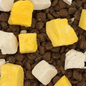 HANOU Makanan Kucing Kering Alami Tinggi Protein - Bentuk Ikan Formula Kesehatan Pencernaan untuk Semua Tahap Hidup - Product Image 6