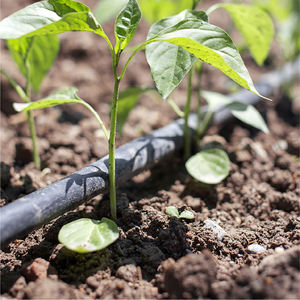 Sistema de Riego por Goteo de Caucho T&H International Modelo 04 para 1 Hectárea, para Uso Agrícola en Invernaderos, Cinta Plana de Bajo Consumo - Product Image 6