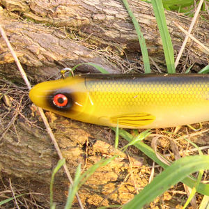 <span class=keywords><strong>Leurre</strong></span> <span class=keywords><strong>souple</strong></span> Selco à queue de pagaie <span class=keywords><strong>pour</strong></span> la pêche au brochet, conception non montée - Product Image 3