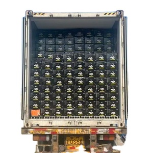 Tỏi tỏi tươi tỏi tươi tỏi hành tây tươi tươi hành tây đỏ tươi tỏi bawang putih chanh tươi - Product Image 5