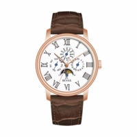 Montres mécaniques de plongée CHARM Fashion Luxury Business Automatic seiko lady