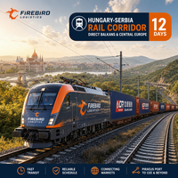 Expédition Ferroviaire Firebird vers la Roumanie FBA DDP Chine Europe – Train de Fret Stable avec Horaires de Départ