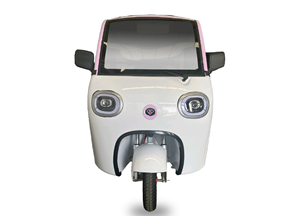 Scooter elettrici <span class=keywords><strong>a</strong></span> tre <span class=keywords><strong>ruote</strong></span> Maifeng tricicli elettrici e veicoli durevoli <span class=keywords><strong>a</strong></span> carrozzeria chiusa tipo scooter elettrici - Product Image 5
