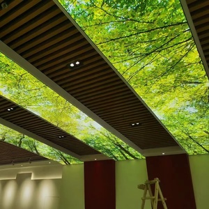 Plafond tendu acoustique perforé en PVC pour magasins, <span class=keywords><strong>prix</strong></span> par rouleau de 1,5 à 5 m, épaisseur 0,18 à 0,28 mm - Product Image 1
