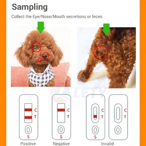 Veterinair Laboratorium Snel Rabiës Ag Snelle Testkit Fcv Gia Fpv <span class=keywords><strong>Test</strong></span> Hond Giardia Snelle <span class=keywords><strong>Test</strong></span> Fcv Voor Huisdier Kat En Hond - Product Image 5