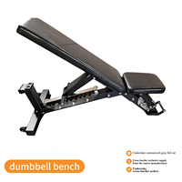 Banc de musculation pliable et réglable avec une capacité de 42 kg, réduction du bruit, pour la musculation à domicile et l'entraînement de force