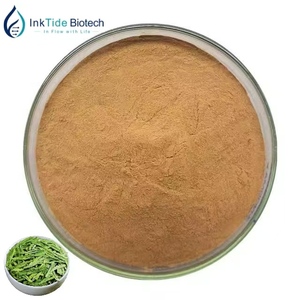 Extrait de thé vert naturel de haute qualité pour les aliments et les boissons - Product Image 1
