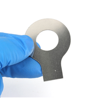 DIN93 1.4401 Stainless Steel Plain Surface Tab Washers with Long Tab