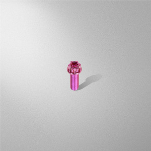 สกรูหัวกลมสีแดง Cvt Studs ขนาด M8 สกรู M5 M10 พิน M6 สีทอง Nmax ไทเทเนียมเคลือบไทเทเนียม M8X8 สกรูไทเทเนียม <span class=keywords><strong>Salaya</strong></span> Bolt Gr5 - Product Image 5