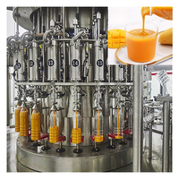Topkwaliteit Mango Productielijn Puree Machine