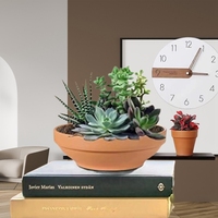 Grand pot rond en terre cuite succulente Jardinière en céramique Poterie Cactus Pots de fleurs en argile Plantes avec trou de drainage