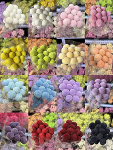 20 PCS Bouquet de fleurs séchées naturelles Craspedia, Billy Balls, fleurs longue durée pour la Saint-Valentin, décoration de mariage - Product Image 1