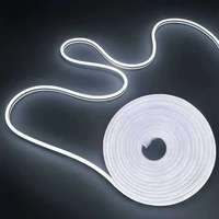 Bande lumineuse LED néon flexible en PVC avec contrôle intelligent par application, couleurs RGBIC, indice de protection IP67, pour la décoration de la salle de jeux et de la chambre à coucher