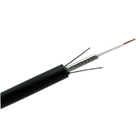Factory Supply OEM Brand GYXTW Fiber Optic Cable 2-12 Cores Single Mode/Multimode Central Loose Tube Design ODN FTTH Network