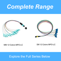 Câble de raccordement MPO/APC à LC/PC 0.9mm 12 fibres | Cordon de raccordement à fibre optique pour centre de données | Connecteurs à fibre optique