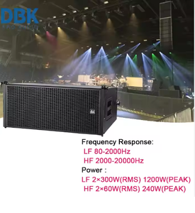 DBK Double 10 pouces Line Array Système de haut-parleurs Passive Active Line Array Powered Outdoor Concert-Grade Line Array Audio - Product Image 5